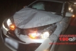 ARIQUEMES: Carro atinge bezerro na RO–257 e deixa condutora ferida