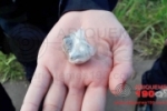 MONTE NEGRO: Guarnição comandada pelo Sargento Carlos localiza maconha com passageiro de táxi