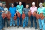 Ariquemes: Sema recebe doação de sementes de pupunha para o Viveiro Municipal