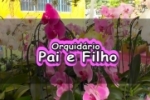 ATENÇÃO ARIQUEMES: Orquidário Pai e Filho estará novamente ao lado da Feira do Produtor