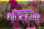 ATENÇÃO: Já chegou em Ariquemes o Orquidário Pai e Filho ao lado da Feira do Produtor
