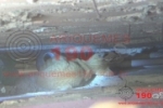 ARIQUEMES: Corpo de Bombeiros é acionado para resgatar gatinho encurralado entre paredes de comércio no Centro da cidade