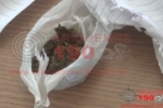 ARIQUEMES: Patrulha GIRO apreende menores em posse de Maconha Setor 04
