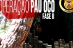 PAU OCO: Draco e MP deflagram mais uma operação contra corrupção na administração pública.
