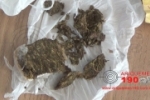 ARIQUEMES: Patrulha Bravo prende indivíduo consumindo maconha na Praça do Setor 09