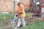 ARIQUEMES: Idoso horticultor ganha R$ 5.000,00 no Rondon Cap