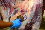 Carne desossada de bovino congelada garante mais 30% de toda a pauta de exportação de Rondônia nos seis primeiros meses de 2019