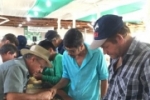 Cafeicultores de Rondônia são capacitados em Classificação Física e Análise Sensorial do Café