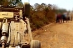ALTO PARAÍSO: Senhor fica ferido em capotamento de carro na área rural