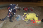 ARIQUEMES: Motociclista fica ferido após colidir com rotatória na Av. Hugo Frey