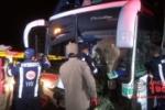 ARIQUEMES: Ônibus com passageiros colide com cavalos na BR–364 e motorista fica preso em ferragens