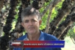 ARIQUEMES: VÍDEO – Estância Jaboticabal abrirá neste sábado