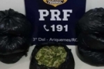 Ariquemes/RO: tráfico de drogas e crime ambiental foram flagrados pela PRF