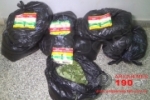 Ariquemes/RO: tráfico de drogas e crime ambiental foram flagrados pela PRF