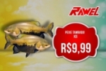 ARIQUEMES: Confira as promoções de quarta e quinta–feira no Rawel