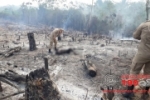 ARIQUEMES: URGENTE – Corpo carbonizado é encontrado próximo ao Jardim Zona Sul