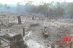 ARIQUEMES: ATUALIZADA – Trabalhador morre carbonizado durante queimada na área rural