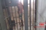 ARIQUEMES: Polícia Militar evita roubo de estudante e apreende infratores
