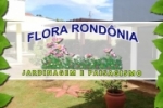 ARIQUEMES: Manutenção de jardins e poda de árvores é com a Flora Rondônia Jardinagem e Paisagismo