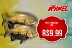 ARIQUEMES: Confira as promoções de quarta e quinta–feira no Rawel