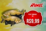 ARIQUEMES: Confira as promoções de quarta e quinta–feira no Rawel