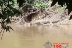 ARIQUEMES: URGENTE &ndash; Corpo em decomposi&ccedil;&atilde;o &eacute; encontrado no Rio Branco
