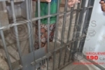 ARIQUEMES: Foragido &eacute; recapturado no Setor 02 ap&oacute;s levar crian&ccedil;a de dois anos para bar