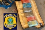 Goiano é preso pela PRF, em Porto Velho com 19 quilos de skunk