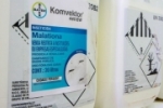Munic&iacute;pios de Rond&ocirc;nia recebem pulveriza&ccedil;&atilde;o para combater mosquito transmissor da dengue