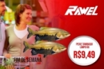 ARIQUEMES: Confira as ofertas do Rawel para este Fim de Semana
