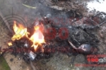 ARIQUEMES: Moto 250 cilindradas pega fogo em quintal no Setor 06 &ndash; Bombeiros foram acionados