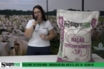 ARIQUEMES: Nutri&ccedil;&atilde;o animal para o per&iacute;odo de seca &eacute; com a Supremax
