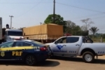 Contrabando: Em Porto Velho/RO, PRF e RFB encontram defensivos agr&iacute;colas escondidos em carregamento de milho