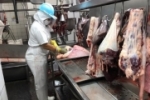 Selo do Servi&ccedil;o de Inspe&ccedil;&atilde;o garante seguran&ccedil;a alimentar ao consumidor de produtos de origem animal em Rond&ocirc;nia