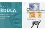 Cédula de R$ 200 entra em circulação hoje segundo o Banco Central