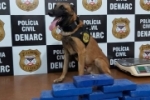 Traficante passa por abordagem na BR, mas &eacute; preso ap&oacute;s a&ccedil;&atilde;o de c&atilde;o farejador