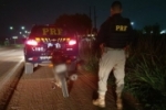 Em Porto Velho/RO, PRF recupera dois ve&iacute;culos durante o fim de semana, e det&eacute;m 3 pessoas por recepta&ccedil;&atilde;o