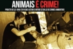 Maus tratos contra animais &eacute; crime