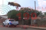 ARIQUEMES: Homem &eacute; socorrido em estado grave ap&oacute;s ser atacado por enxame de abelhas no BNH
