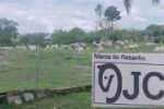 JARU &ndash; PECUARISTA OFERECE R$ 20 MIL DE RECOMPENSA PARA RECUPERAR 57 CABE&Ccedil;AS DE GADO FURTADAS