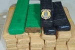 Em Ji&ndash;Paran&aacute;/RO, PRF apreende 31 quilos de maconha dentro de caminh&atilde;o