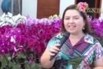  ARIQUEMES: Venha conferir as novidades no Orquid&aacute;rio Pai e Filho