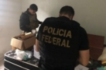 Pol&iacute;cia Federal deflagra opera&ccedil;&atilde;o contra organiza&ccedil;&atilde;o criminosa que devastava Terras Ind&iacute;genas em Rond&ocirc;nia &ndash; V&iacute;deo