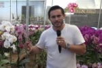  ARIQUEMES: Dicas do Orquid&aacute;rio Pai e Filho &ndash; V&iacute;deo  