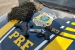 PRF combate crimes ambientais em Rond&ocirc;nia e Amazonas