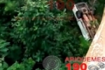 ARIQUEMES: Carro cai da Ponte do Rio Branco na BR&ndash;364