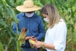 Prefeita de Ariquemes visita produtor de silagem de milho e criador de gado leiteiro