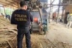 PF incinera mais de 600 quilos de droga em Rondônia