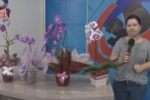 ARIQUEMES: &Eacute; HOJE!  Dia Internacional das Mulheres &ndash; Presenteie com o Orquid&aacute;rio Pai e Filho &ndash; V&iacute;deo