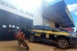 Somente nesta segunda&ndash;feira 4 ve&iacute;culos foram recuperados pela PRF em Rond&ocirc;nia